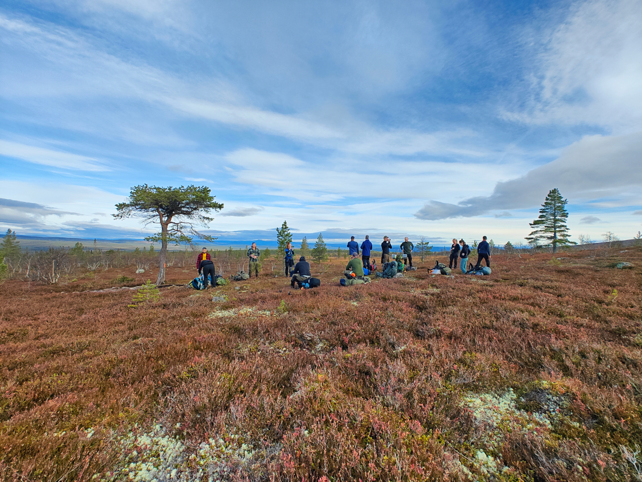 Wild Sweden and Berjes Adventures team up for bear watching adventure